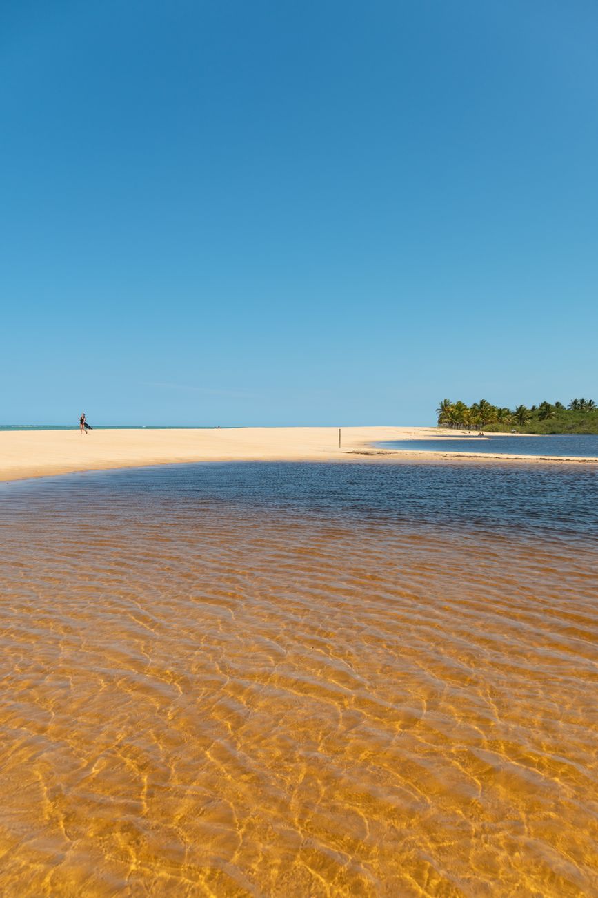 Incrível paisagem brasileira com natureza abundante